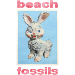 Beach Fossils Bunny VINYL LP