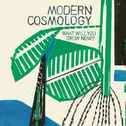 Modern Cosmology What Will You Grow Now? VINYL LP