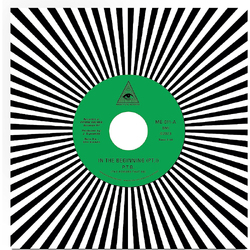 P.T.B. (The Powers That Be) In The Beginning VINYL LP