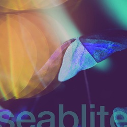 Seablite Breadcrumbs VINYL LP