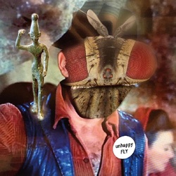 Unhappy Fly Unhappy Fly VINYL LP