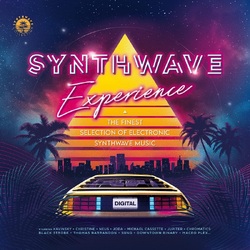Various Artists Synthwave Experience VINYL LP
