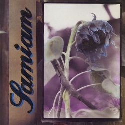 Samiam Samiam VINYL LP