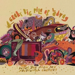 A Great Big Pile Of Leaves Have You Seen My Prefrontal Cortex? VINYL LP