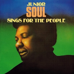 Junior Soul Sing for the People VINYL LP