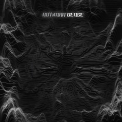 Kutiman Dense VINYL LP