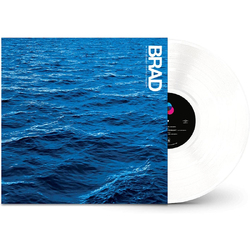 Brad In The Moment That You'Re Borb VINYL LP
