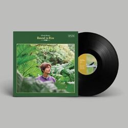 Chris Brain Bound to Rise VINYL LP
