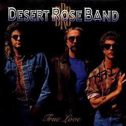 Desert Rose Band True Love VINYL LP