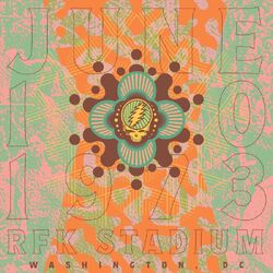 Grateful Dead RFK Stadium, Washington, DC 6/10/73 4CD