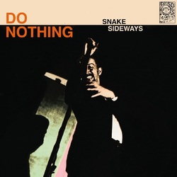 Do Nothing Snake Sideways VINYL LP