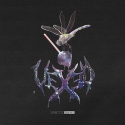 VEXED Negative Energy VINYL LP