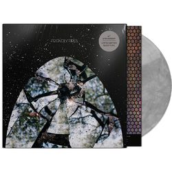 Friendly Fires Friendly Fires VINYL LP