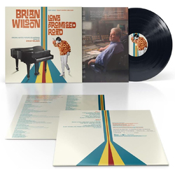 Brian Wilson Brian Wilson: Long Promised Road VINYL LP
