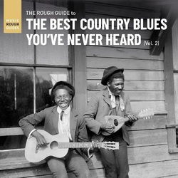 Various Artists The Rough Guide to the Best Country Blues You've Never Heard (Vol. 2) VINYL LP