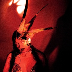 Fran Lobo Burning It Feels Like VINYL LP