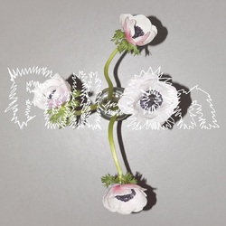Klara Lewis & Nik Colk Void Full-On VINYL LP