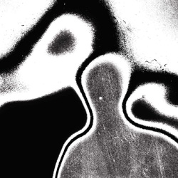 Lunacy Universal Pressure VINYL LP