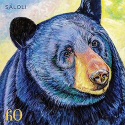 Saloli Canyon VINYL LP