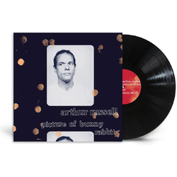Arthur Russell Picture Of Bunny Rabbit VINYL LP