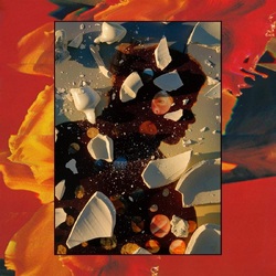 Hand Habits Sugar The Bruise VINYL LP