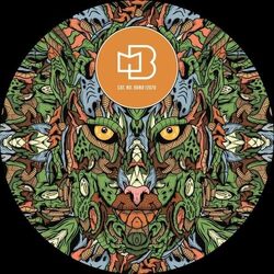 Mihai Popoviciu Echo Audio VINYL LP