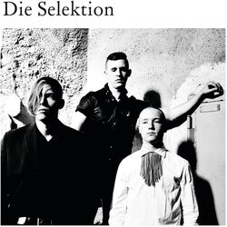 Die Selektion Die Selektion VINYL LP