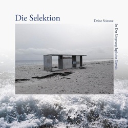 Die Selektion Deine Stimme Ist Der Ursprung Jeglicher Gewalt VINYL LP