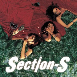 Section-S Www. JAPANESE VINYL LP