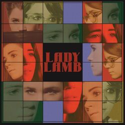 Lady Lamb In The Mammoth Nothing Of The Night VINYL 5LP