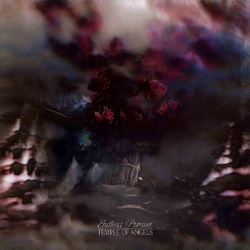 Temple Of Angels Endless Pursuit [Lp] (Cloudy Clear Vinyl) VINYL LP