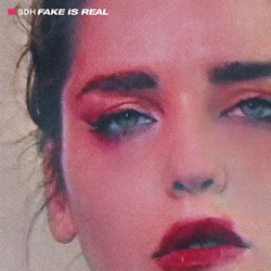 Sdh Fake Is Real (Vinyl) VINYL LP