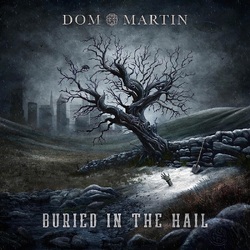 Dom Martin Buried In The Hail VINYL LP