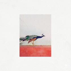 Jason Singh & The Banwasi Collective Travellers VINYL LP