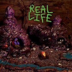 Crooks & Nannies Real Life VINYL LP