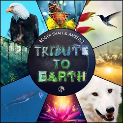 Roger Shah Tribute To Earth 2CD