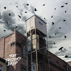 Fat Freddy's Drop Blackbird Returns VINYL 2 LP