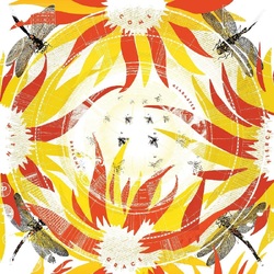 Alabaster Deplume Come With Fierce Grace VINYL LP