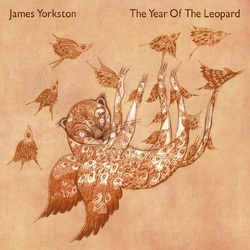 James Yorkston The Year Of The Leopard VINYL LP
