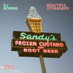 Dj Boring Beautiful Strangers VINYL LP