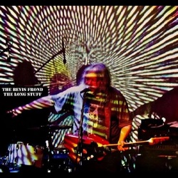 The Bevis Frond The Long Stuff VINYL LP