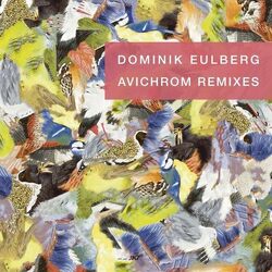 Dominik Eulberg Avichrom Remixes VINYL LP