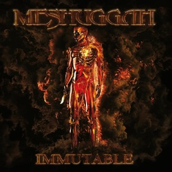 Meshuggah Immutable VINYL LP