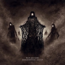 Blut Aus Nord Disharmonium - Nahab VINYL LP