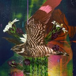 Todd Russell & The Dangerous C Playa Larga-1900 Ocean Ave VINYL LP