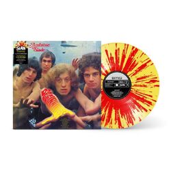Slade Beginnings VINYL LP