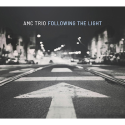 Amc Trio Feat. Randy Brecker Following the Light VINYL LP