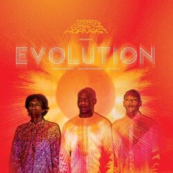 Tomorrow Comes The Harvest Evolution VINYL LP