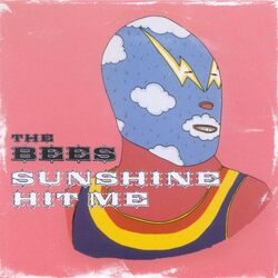 The Bees Sunshine Hit Me VINYL LP