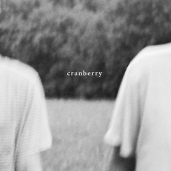 Hovvdy Cranberry VINYL LP